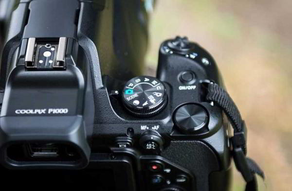 Обзор Nikon Coolpix P1000: камера с 125-кратным оптическим зумом Обзор Nikon Coolpix P1000: камера с 125-кратным оптическим зумом