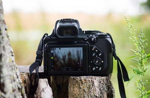 Обзор Nikon Coolpix P1000: камера с 125-кратным оптическим зумом Обзор Nikon Coolpix P1000: камера с 125-кратным оптическим зумом
