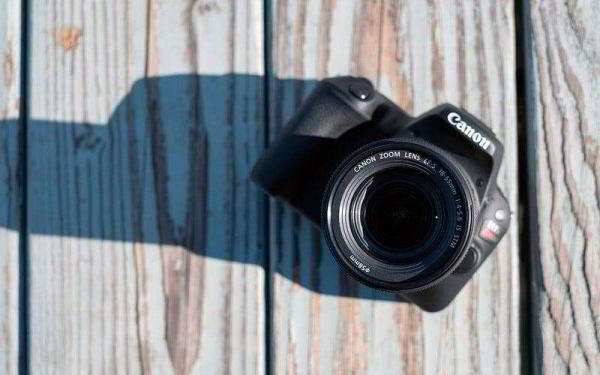 Обзор Canon EOS Rebel SL2 — Самая компактная зеркалка с привлекательной ценой Обзор Canon EOS Rebel SL2 — Самая компактная зеркалка с привлекательной ценой