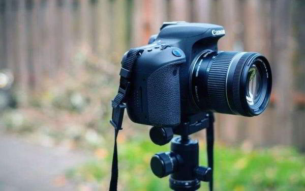 Обзор Canon EOS 77D — Средний ребёнок, которого вы по-прежнему любите Обзор Canon EOS 77D — Средний ребёнок, которого вы по-прежнему любите