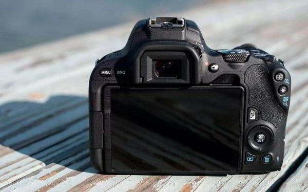 Обзор Canon EOS Rebel SL2 — Самая компактная зеркалка с привлекательной ценой Обзор Canon EOS Rebel SL2 — Самая компактная зеркалка с привлекательной ценой