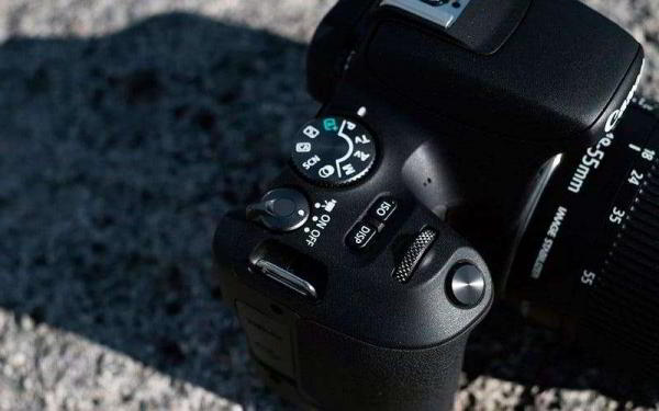 Обзор Canon EOS Rebel SL2 — Самая компактная зеркалка с привлекательной ценой Обзор Canon EOS Rebel SL2 — Самая компактная зеркалка с привлекательной ценой