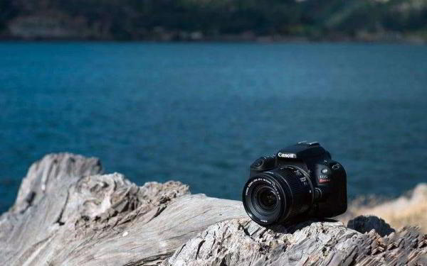 Обзор Canon EOS Rebel SL2 — Самая компактная зеркалка с привлекательной ценой Обзор Canon EOS Rebel SL2 — Самая компактная зеркалка с привлекательной ценой