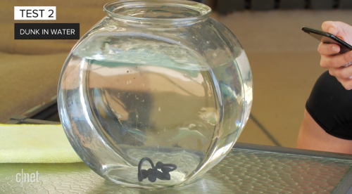 AirPods vs. Powerbeats Pro vs. Galaxy Buds: Which survived our water test?