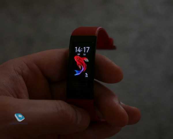 Быстрый обзор Huawei Band 4 Pro Быстрый обзор Huawei Band 4 Pro