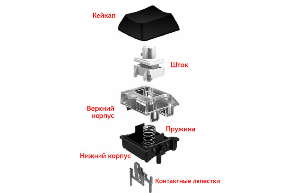 ТОП-10 лучших механических клавиатур 2026 года: Рейтинг игровых и офисных моделей с разными типами переключателей ТОП-10 лучших механических клавиатур 2026 года: Рейтинг игровых и офисных моделей с разными типами переключателей